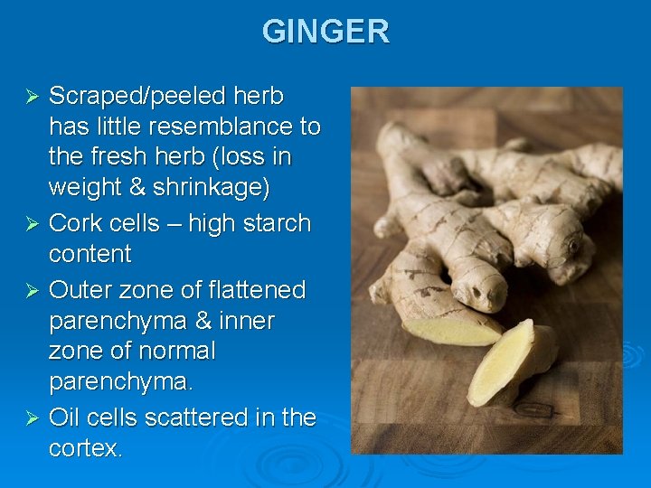 GINGER Scraped/peeled herb has little resemblance to the fresh herb (loss in weight &