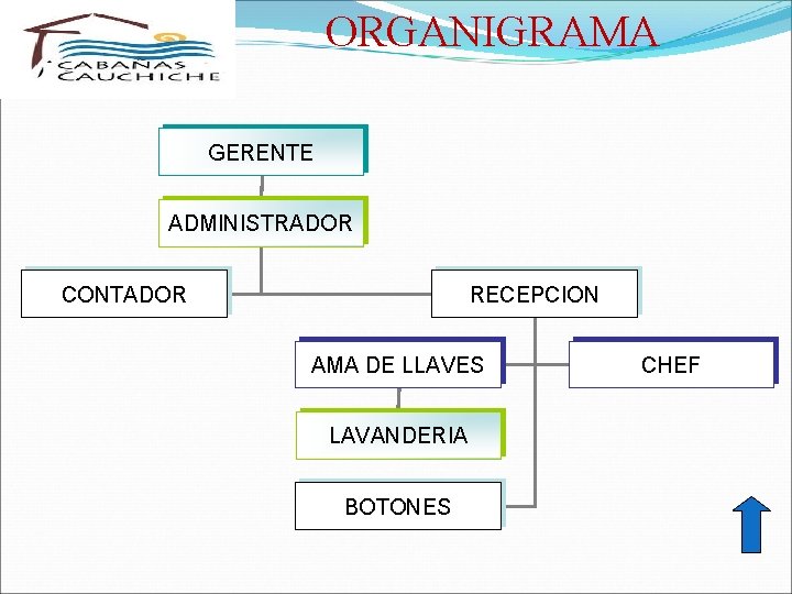 ORGANIGRAMA GERENTE ADMINISTRADOR CONTADOR RECEPCION AMA DE LLAVES LAVANDERIA BOTONES CHEF 