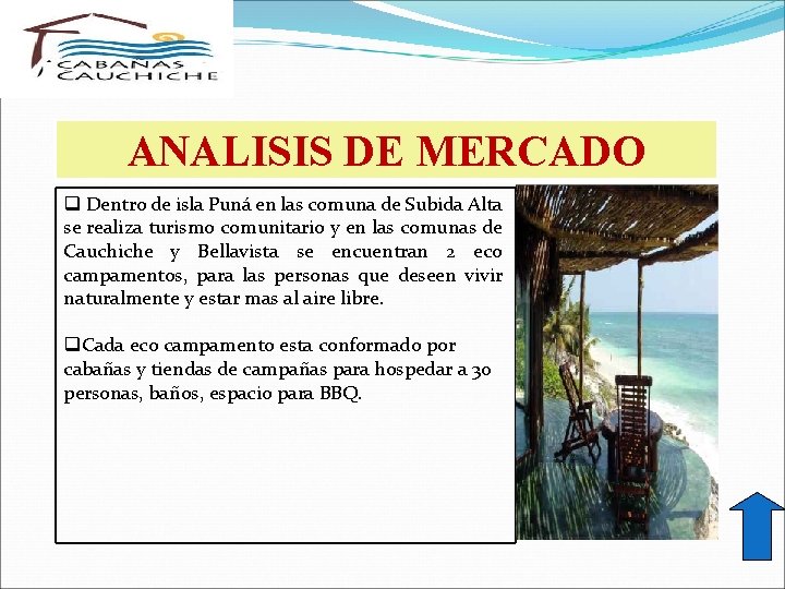 MERCADO: ANALISIS DE MERCADO q Dentro de isla Puná en las comuna de Subida