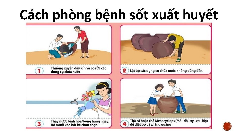 Cách phòng bệnh sốt xuất huyết 