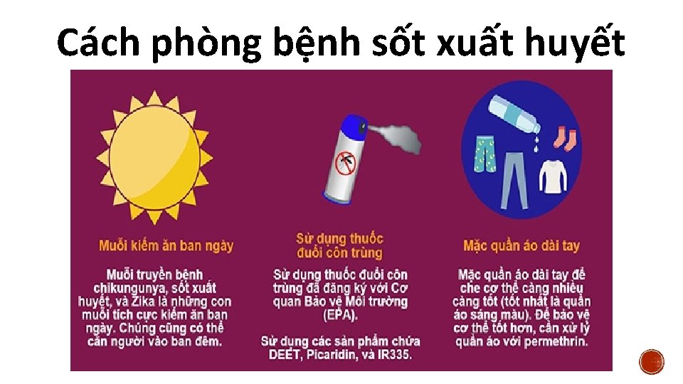 Cách phòng bệnh sốt xuất huyết 