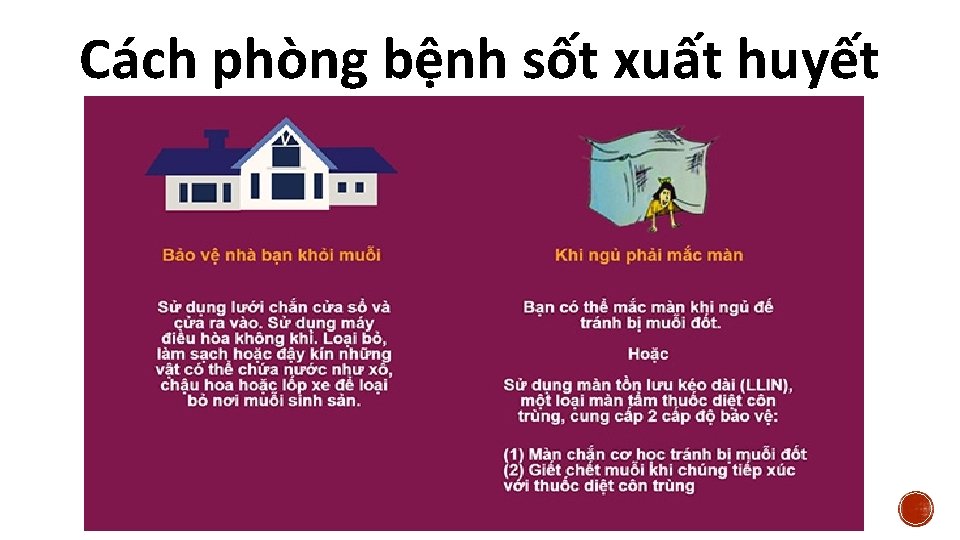 Cách phòng bệnh sốt xuất huyết Cách phòng bệnh sốt xuất huyết