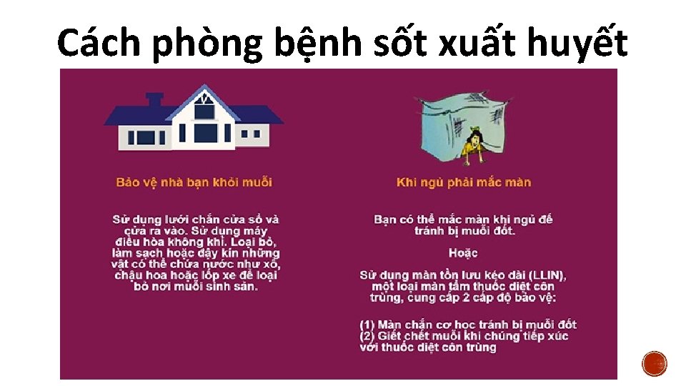 Cách phòng bệnh sốt xuất huyết 