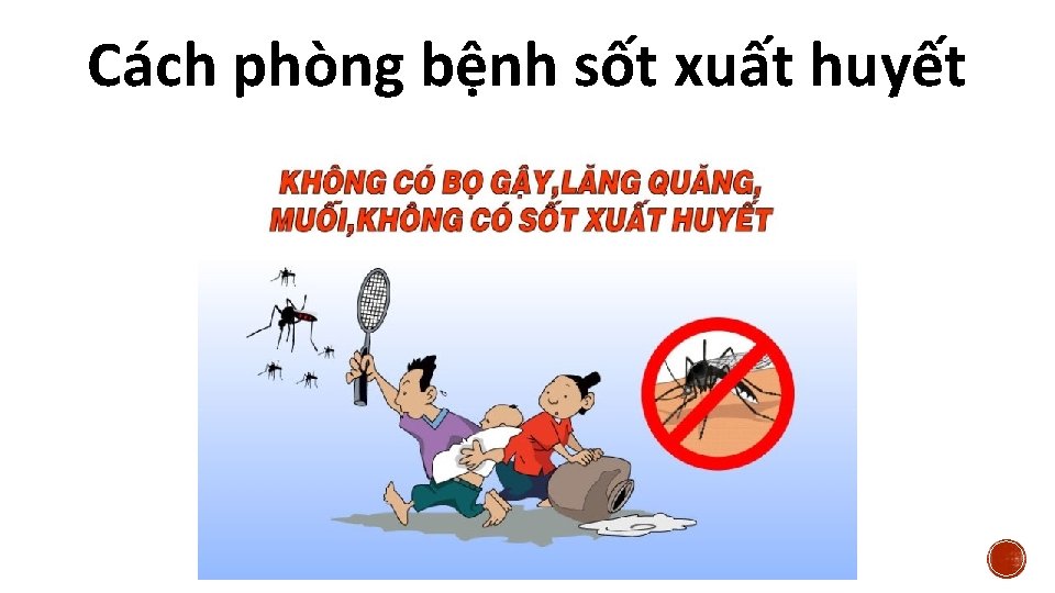 Cách phòng bệnh sốt xuất huyết 