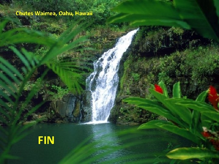 Chutes Waimea, Oahu, Hawaii FIN 