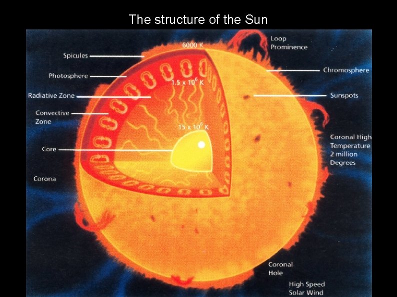 The structure of the Sun 