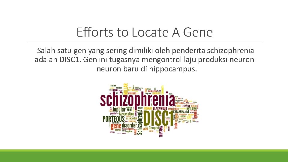 Efforts to Locate A Gene Salah satu gen yang sering dimiliki oleh penderita schizophrenia