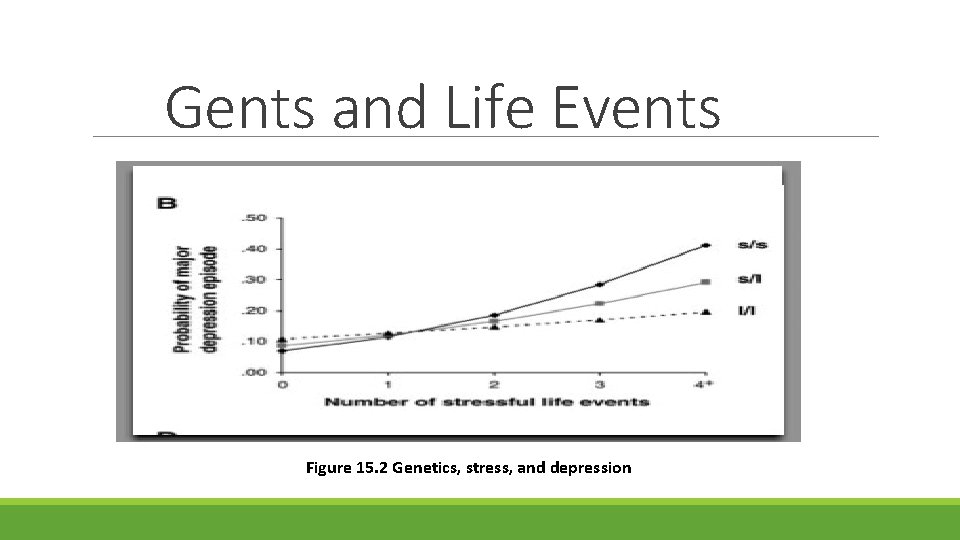 Gents and Life Events Figure 15. 2 Genetics, stress, and depression 