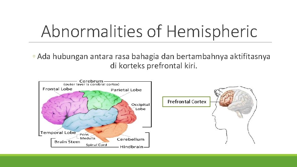 Abnormalities of Hemispheric ◦ Ada hubungan antara rasa bahagia dan bertambahnya aktifitasnya di korteks