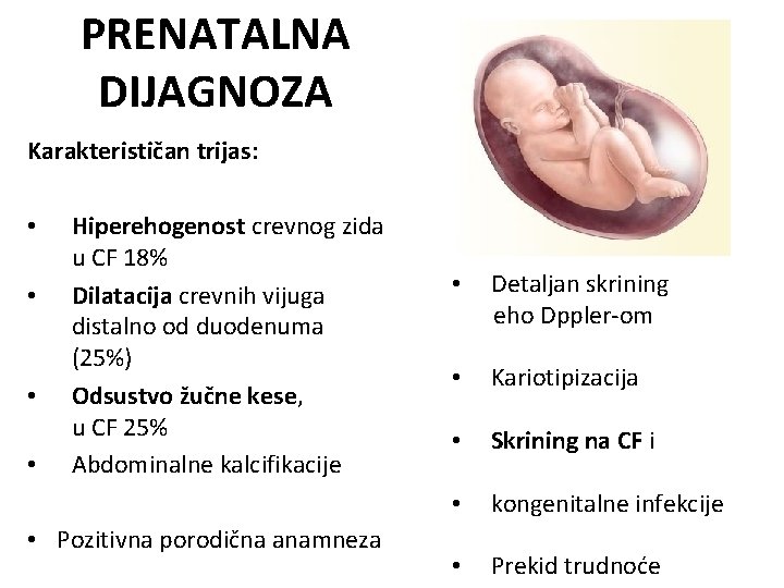 PRENATALNA DIJAGNOZA Karakterističan trijas: • • Hiperehogenost crevnog zida u CF 18% Dilatacija crevnih