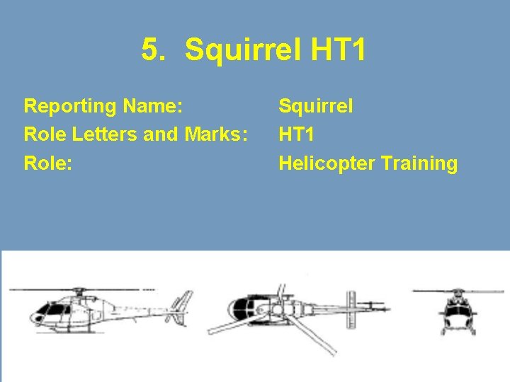 5. Squirrel HT 1 Reporting Name: Role Letters and Marks: Role: Squirrel HT 1