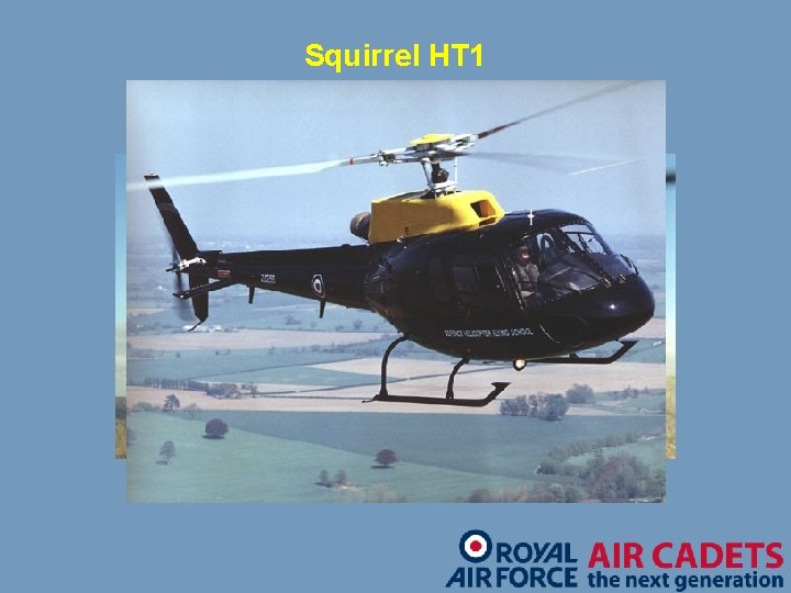 Squirrel HT 1 