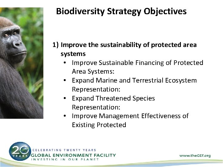 Biodiversity Strategy Objectives 1) Improve the sustainability of protected area systems • Improve Sustainable