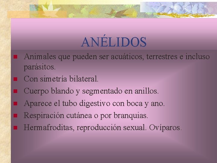 ANÉLIDOS n n n Animales que pueden ser acuáticos, terrestres e incluso parásitos. Con