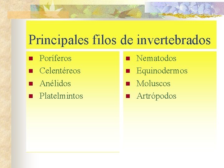 Principales filos de invertebrados n n Poríferos Celentéreos Anélidos Platelmintos n n Nematodos Equinodermos