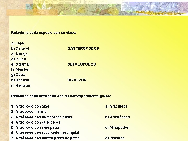 Relaciona cada especie con su clase: a) Lapa b) Caracol c) Almeja d) Pulpo