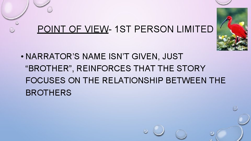 POINT OF VIEW- 1 ST PERSON LIMITED • NARRATOR’S NAME ISN’T GIVEN, JUST “BROTHER”,