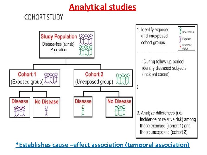 Analytical studies *Establishes cause –effect association (temporal association) Analytical studies *Establishes cause –effect association (temporal association)
