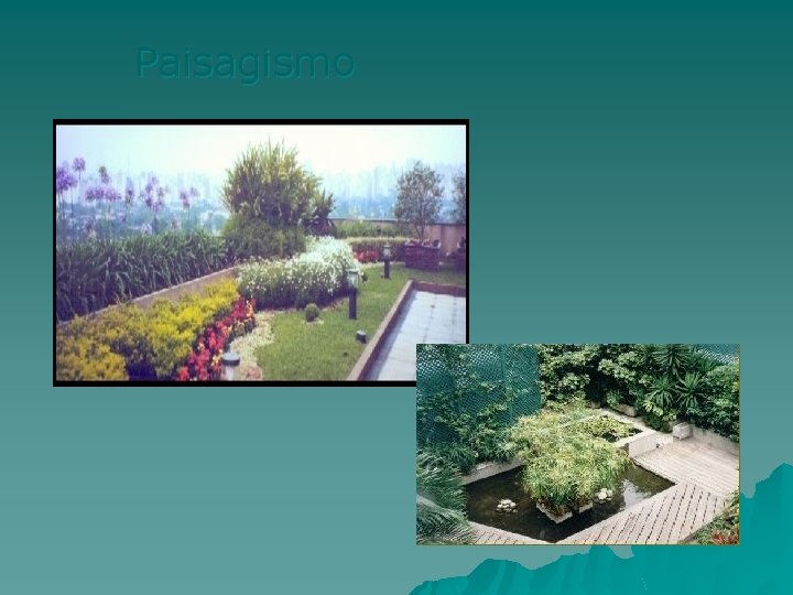 Paisagismo 