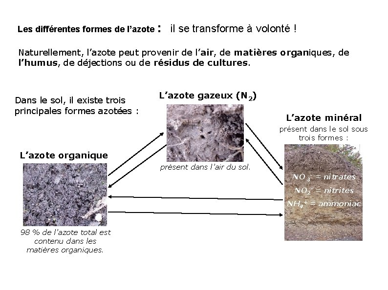 Les différentes formes de l’azote : il se transforme à volonté ! Naturellement, l’azote