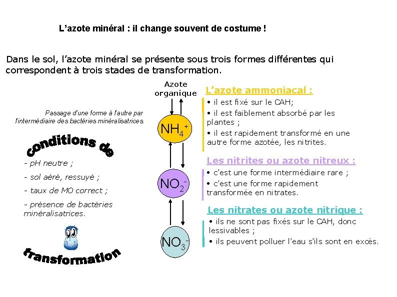 L’azote minéral : il change souvent de costume ! Dans le sol, l’azote minéral