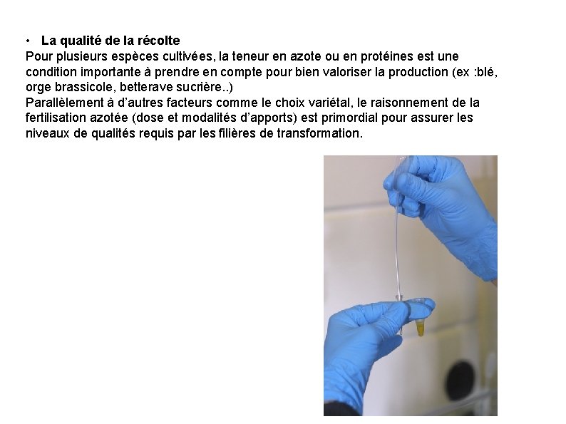  • La qualité de la récolte Pour plusieurs espèces cultivées, la teneur en