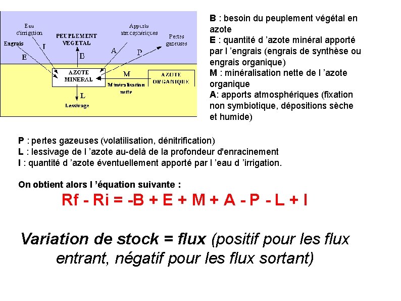 B : besoin du peuplement végétal en azote E : quantité d ’azote minéral