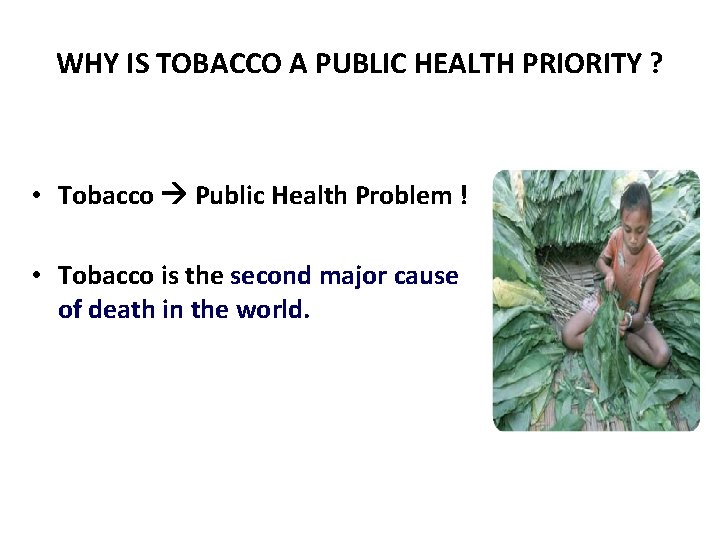 WHY IS TOBACCO A PUBLIC HEALTH PRIORITY ? • Tobacco Public Health Problem !