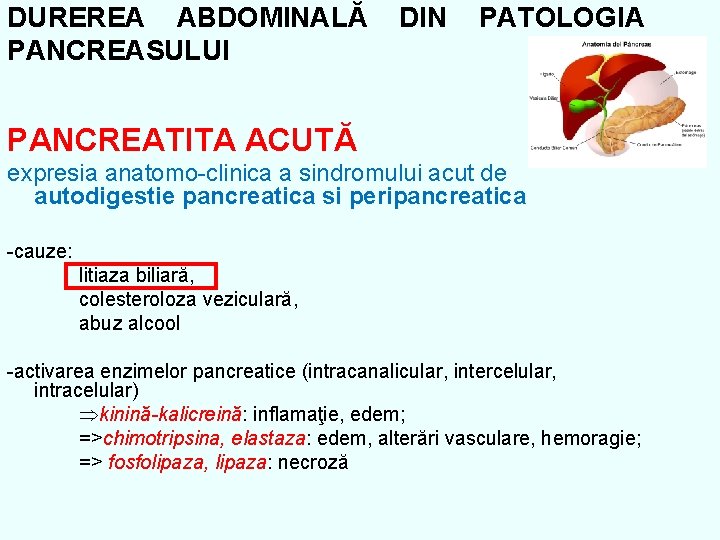 DUREREA ABDOMINALĂ PANCREASULUI DIN PATOLOGIA PANCREATITA ACUTĂ expresia anatomo-clinica a sindromului acut de autodigestie