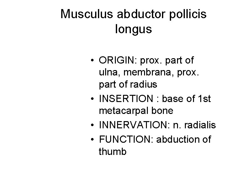 Musculus abductor pollicis longus • ORIGIN: prox. part of ulna, membrana, prox. part of