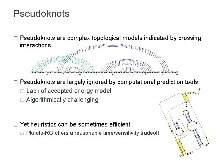 Pseudoknots � Pseudoknots are complex topological models indicated by crossing interactions. � Pseudoknots are