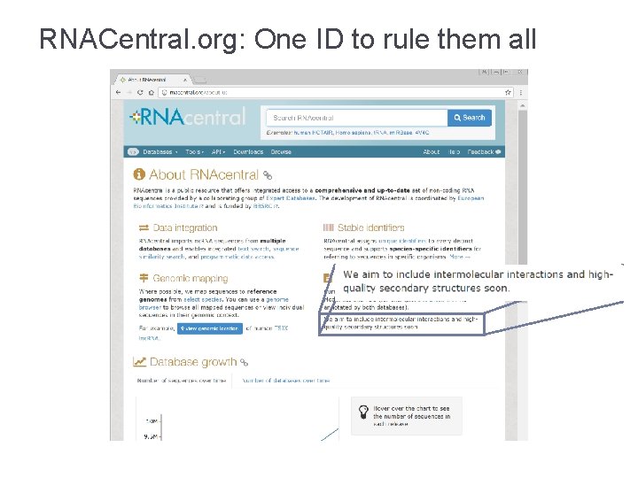 RNACentral. org: One ID to rule them all 