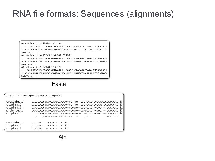 RNA file formats: Sequences (alignments) 