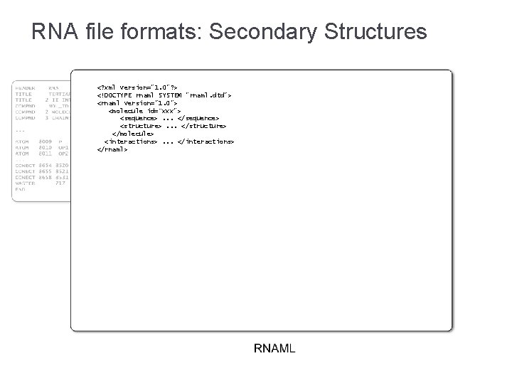 RNA file formats: Secondary Structures <? xml version="1. 0"? > <!DOCTYPE rnaml SYSTEM "rnaml.