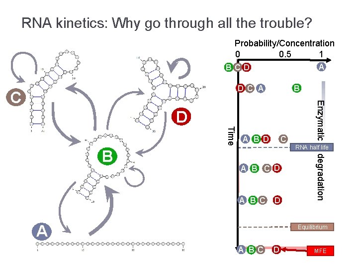 RNA kinetics: Why go through all the trouble? Probability/Concentration 0 0. 5 1 A