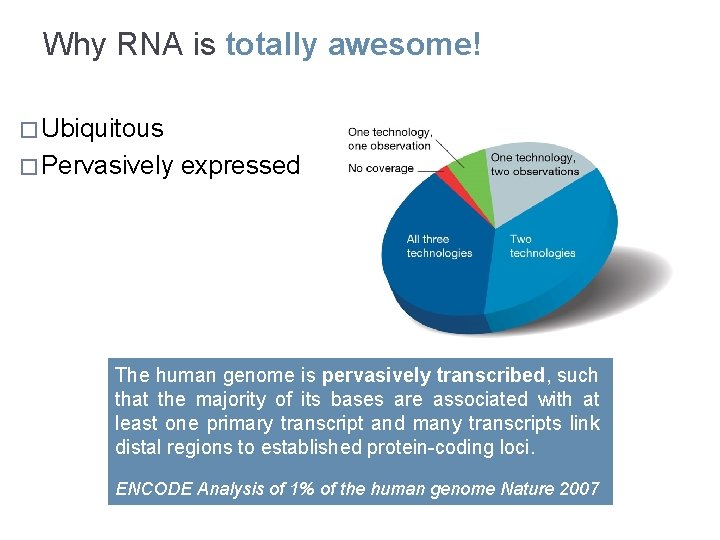 Why RNA is totally awesome! � Ubiquitous � Pervasively expressed The human genome is