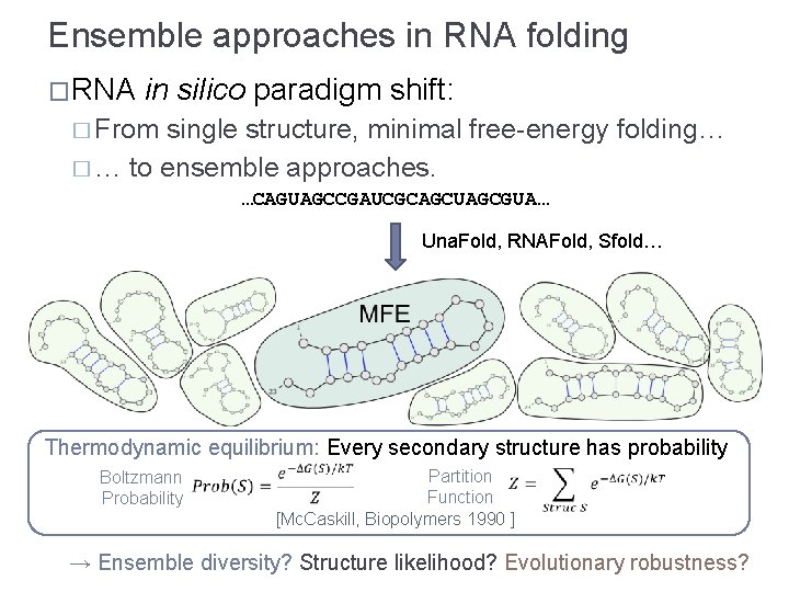Ensemble approaches in RNA folding �RNA in silico paradigm shift: � From single structure,