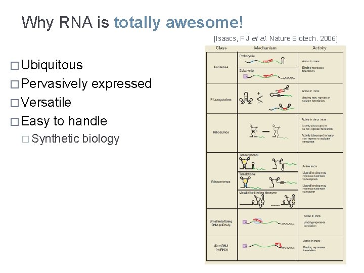 Why RNA is totally awesome! [Isaacs, F J et al. Nature Biotech. 2006] �