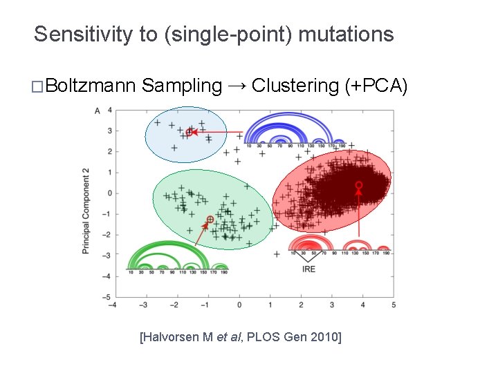 Sensitivity to (single-point) mutations �Boltzmann Sampling → Clustering (+PCA) [Halvorsen M et al, PLOS