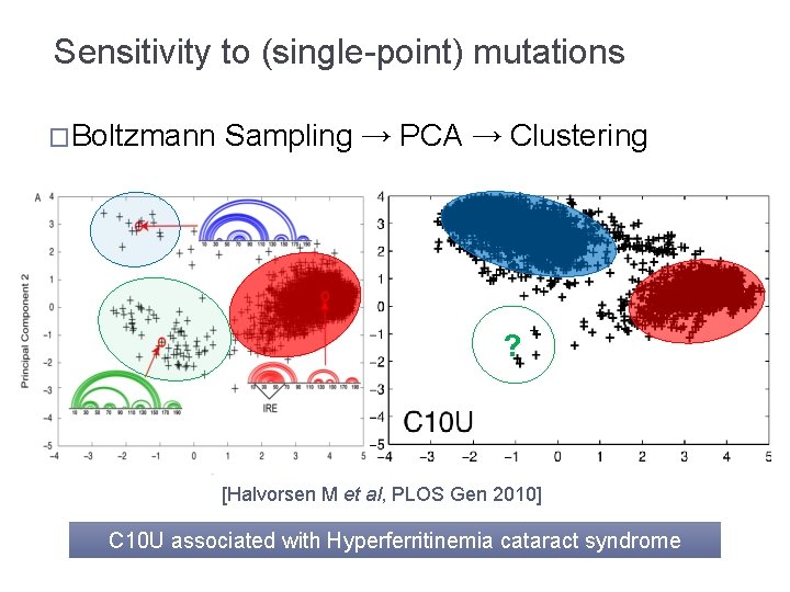 Sensitivity to (single-point) mutations �Boltzmann Sampling → PCA → Clustering ? [Halvorsen M et