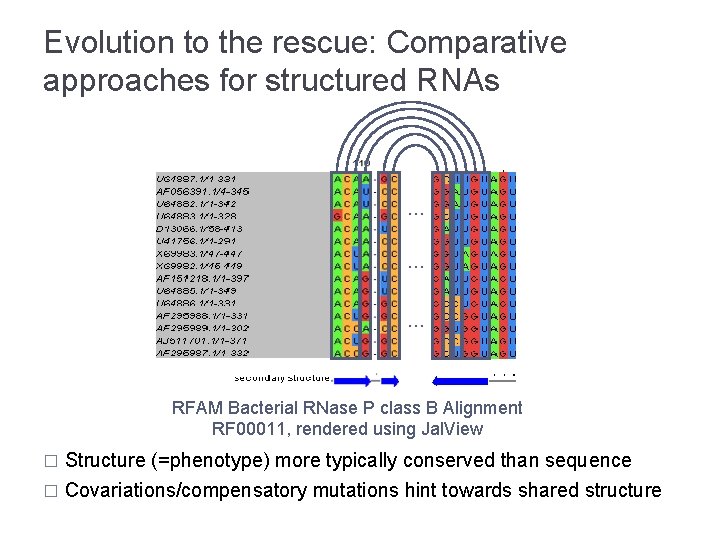 Evolution to the rescue: Comparative approaches for structured RNAs … … … RFAM Bacterial