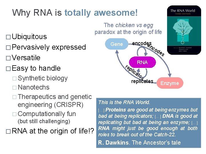 Why RNA is totally awesome! The chicken vs egg paradox at the origin of