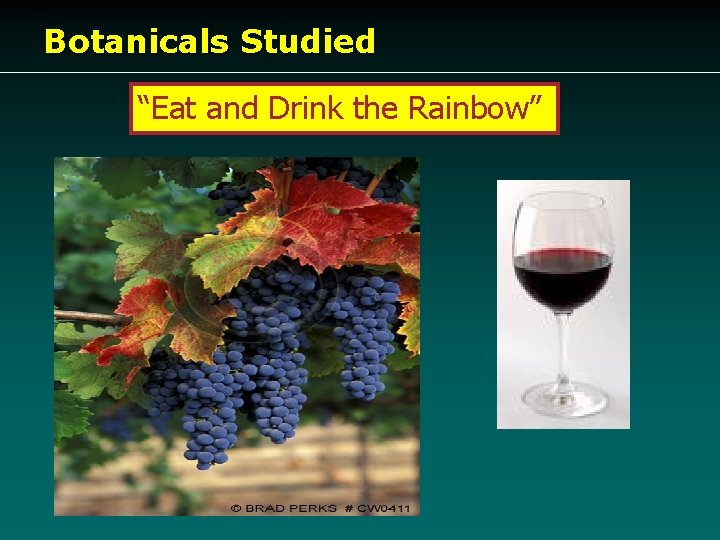 Botanicals Studied “Eat and Drink the Rainbow” 