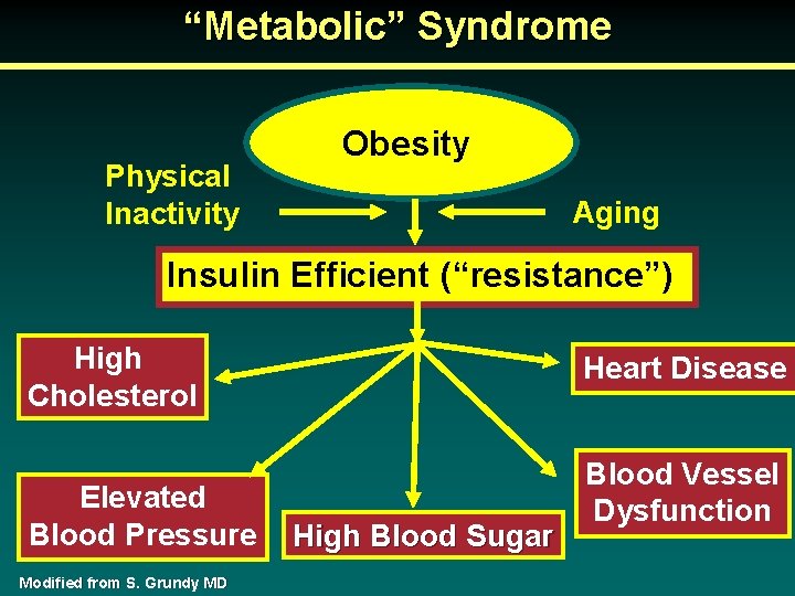 “Metabolic” Syndrome Physical Inactivity Obesity Aging Insulin Efficient (“resistance”) High Cholesterol Elevated Blood Pressure