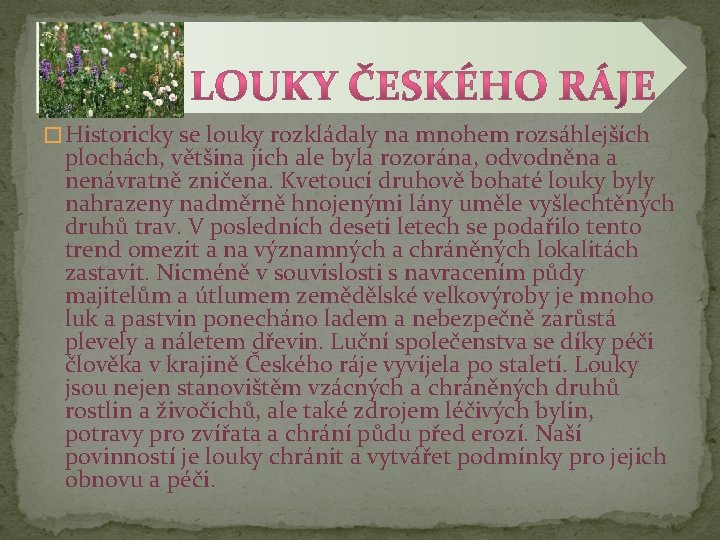 � Historicky se louky rozkládaly na mnohem rozsáhlejších plochách, většina jich ale byla rozorána,