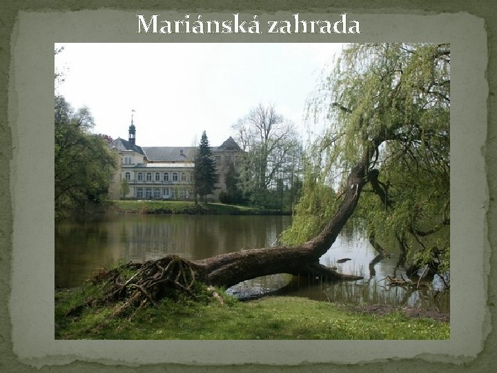 Mariánská zahrada 