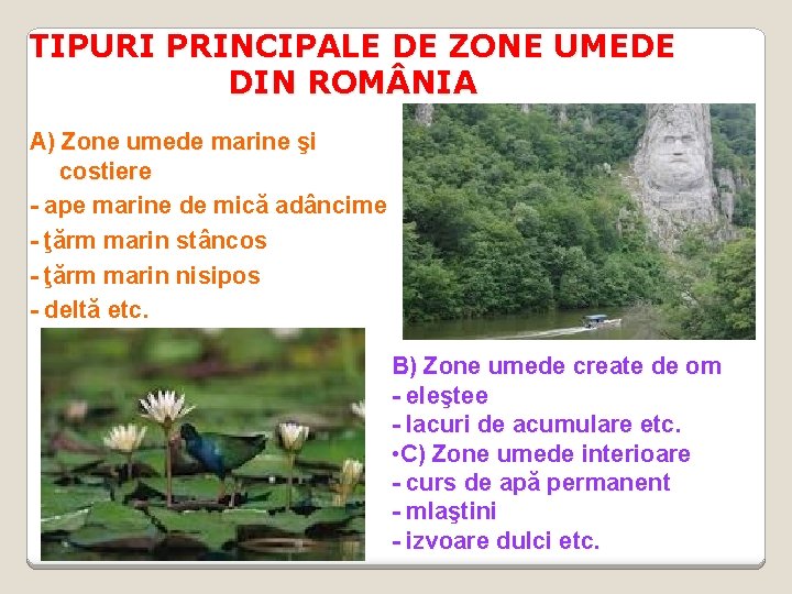 TIPURI PRINCIPALE DE ZONE UMEDE DIN ROM NIA A) Zone umede marine şi costiere