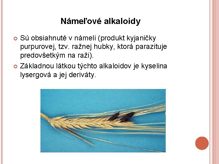 Námeľové alkaloidy Sú obsiahnuté v námeli (produkt kyjaničky purpurovej, tzv. ražnej hubky, ktorá parazituje