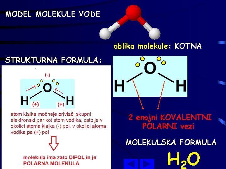 MODEL MOLEKULE VODE oblika molekule: KOTNA STRUKTURNA FORMULA: 2 enojni KOVALENTNI POLARNI vezi MOLEKULSKA