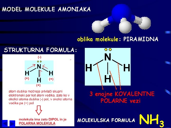 MODEL MOLEKULE AMONIAKA oblika molekule: PIRAMIDNA STRUKTURNA FORMULA: 3 enojne KOVALENTNE POLARNE vezi MOLEKULSKA